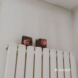 蜡烛味道更浓放洗手间刚刚好