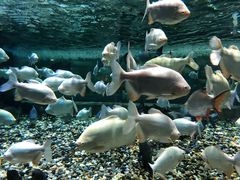 -成都浩海立方海洋公园