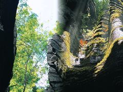 -梭布垭石林景区