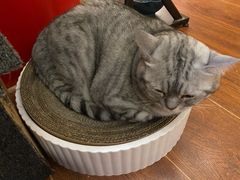 -H立方实景剧情密室(天河旗舰店)
