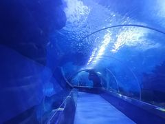 -多彩贵州城极地海洋世界