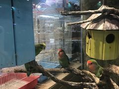 -龟与熊猫宠物公园(南坪店)