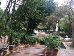 -九龙公园