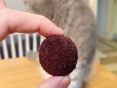 -雨露空间(嘉善施家店)