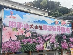 -灵光寺