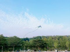 -东莞植物园