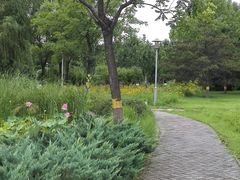 景点-望湖公园