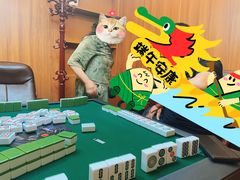 -静茗轩茶楼