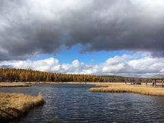 -塞罕坝国家级自然保护区