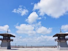 -呼兰河口湿地公园