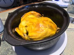 鸿运跑山鸡-盛百味·家宴餐厅(霸州分店)