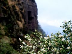 -萍乡武功山风景名胜区