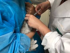 -安安宠医·臻爱宠物医院(簇锦北路分院)