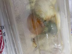 -白玉兰食品(甜云店)