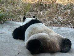 -宁波野生动物园