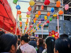 -越秀西湖花市(广州城市广场花卉店)