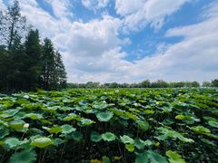 -云龙湖旅游景区