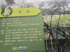 -宁波野生动物园