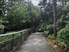 -仙岳公园