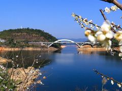 -广州市流溪河国家森林公园