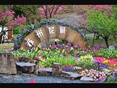 -苏州上方山国家森林公园