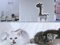 -鹏欣水游城