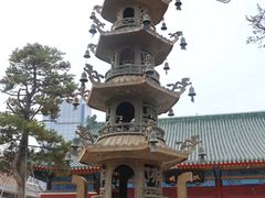 -天津大悲禅院