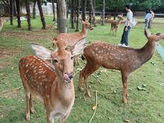 -南京金牛湖风景区