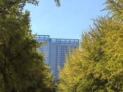 -辽宁大学(崇山校区)