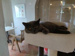 -Me Coffee下午茶艺术空间