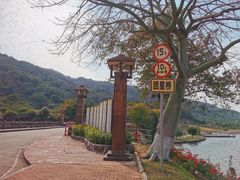 -风云岭森林公园