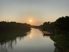 -上海海湾国家森林公园