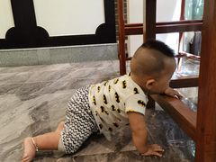 -顺德渔村·岭南一号