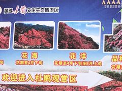 -木兰云雾山