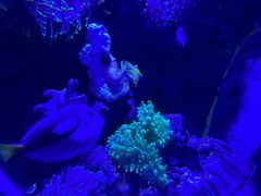 -太平洋海底世界