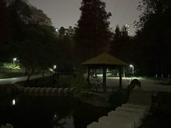 -重庆彩云湖湿地公园