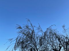 -滇池海埂公园