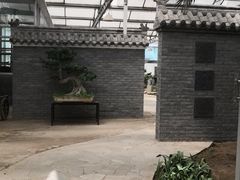-石家庄市植物园