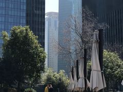 -黄浦江游览(十六铺3号码头)