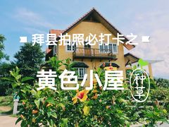 -黄色小屋