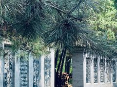 -北京十三陵国家森林公园蟒山景区