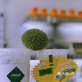 湛江探店｜实现榴莲自由的饮品🧃来啦！
