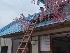-Blue Concept Cafe&Farm·關於藍