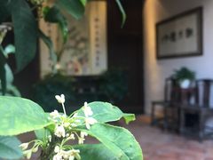 -载阳客栈