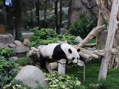 -香港海洋公园