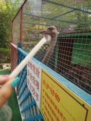 -萌宠亲子动物乐园(槐房万达店)