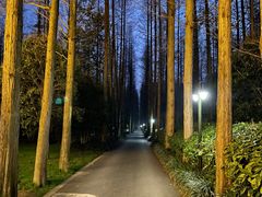 -上海怡沁园度假酒店