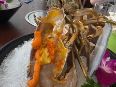 鲜活小青龙-东海怡品海鲜豆捞(舟宿夜江店)