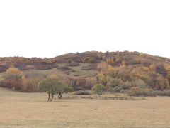 -塞罕坝国家级自然保护区
