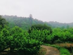 -龙寺生态园